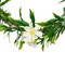 7" White Mini Spring Wreath Unlit Floral and Foliage Door or Wall Accent